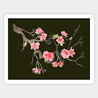 Cherry Blossoms Sticker